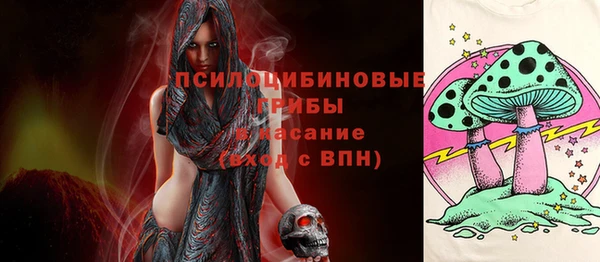 мдпв Магас