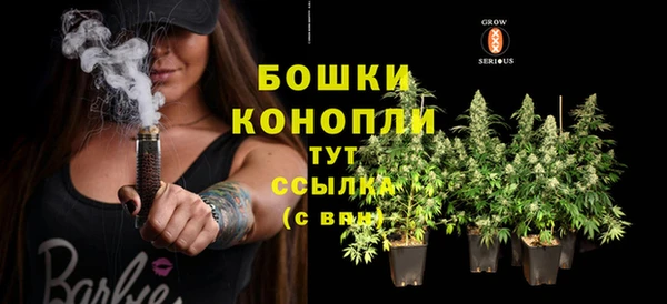 МДПВ Лиски