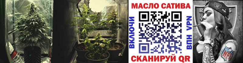 закладка  darknet наркотические препараты  ТГК THC oil  Никольское 