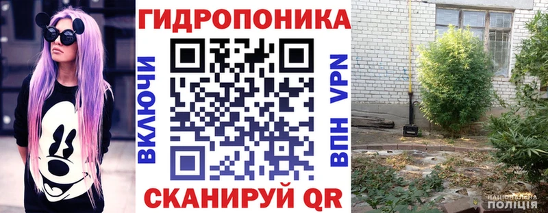 darknet наркотические препараты  Никольское  Бошки Шишки Ganja 